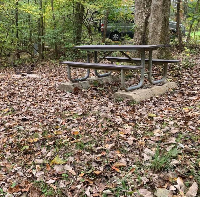 The ground is covered with brown leaves with a circle fire ring and picnic table.B-13 has a fire ring and picnic table.
