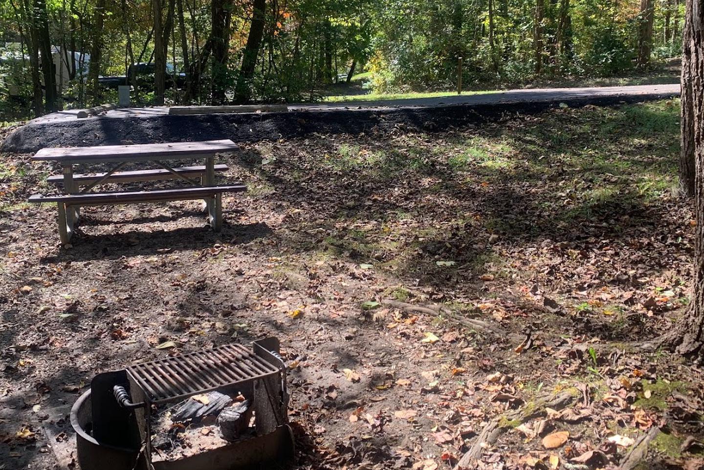 A brownish green grassy area with a circle fire ring and picnic table.B-16 has a fire ring and picnic table.