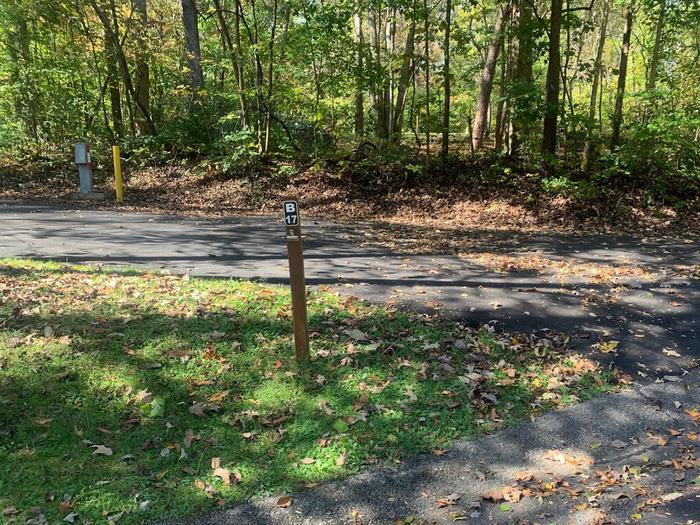 A blacktop surface with green grass on the sides with a small brown post.