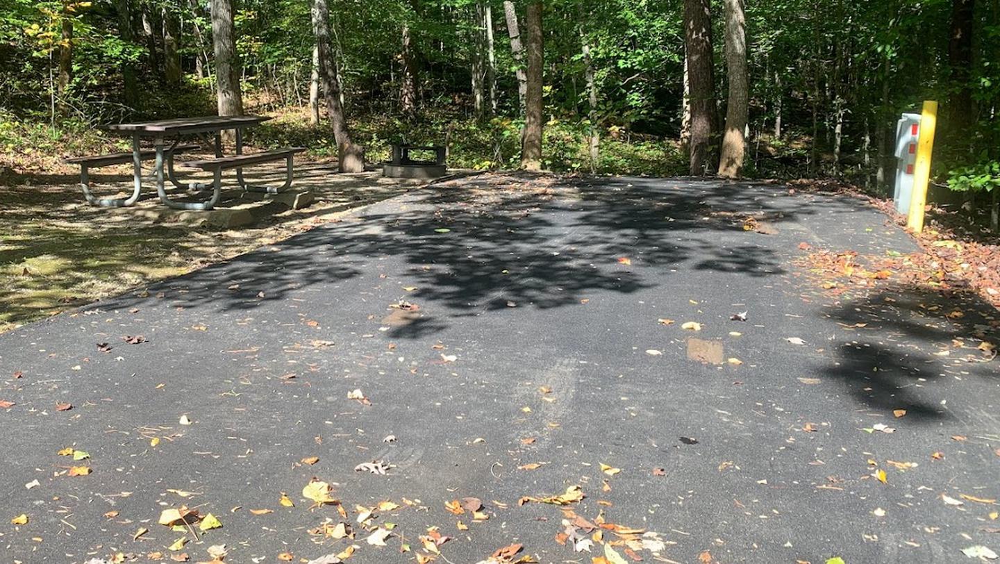 A blacktop surface with a yellow post and gray box near a circle fire ring and picnic table.B-20 has a fire ring and picnic table.