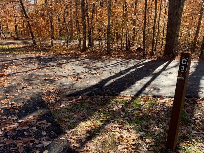 A blacktop surface with colorful trees surrounding with a small brown post.