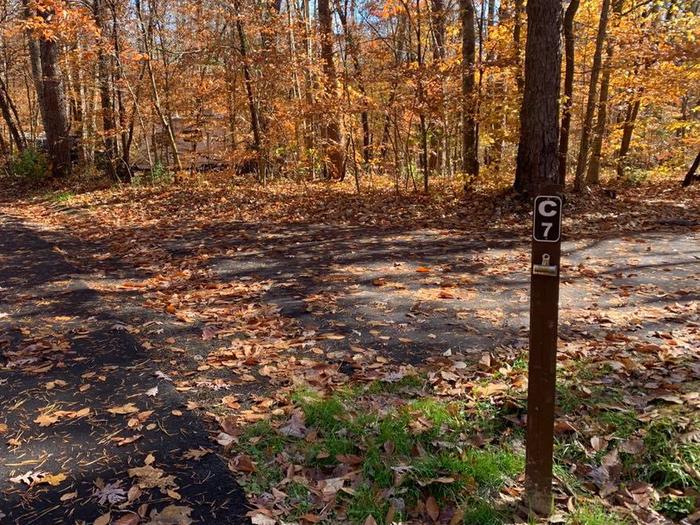 A blacktop surface covered with red and brown leaves with a small brown post.