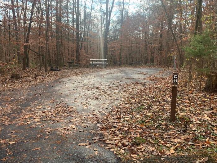 A blacktop surface with brown leaves scattered around with a small brown post.