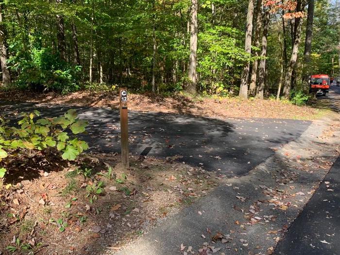 A blacktop surface with green shaded trees with a small brown post.