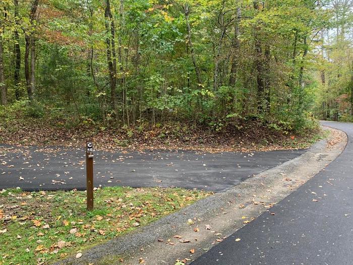 A blacktop surface with green grass on the sides with a small brown post.