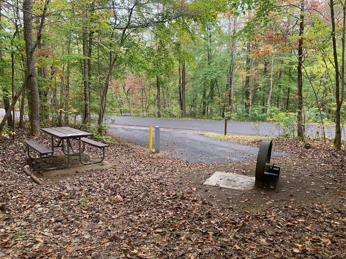 A blacktop surface with a yellow post and gray box near a circle fire ring and picnic table.C-19 has a fire ring and picnic table.