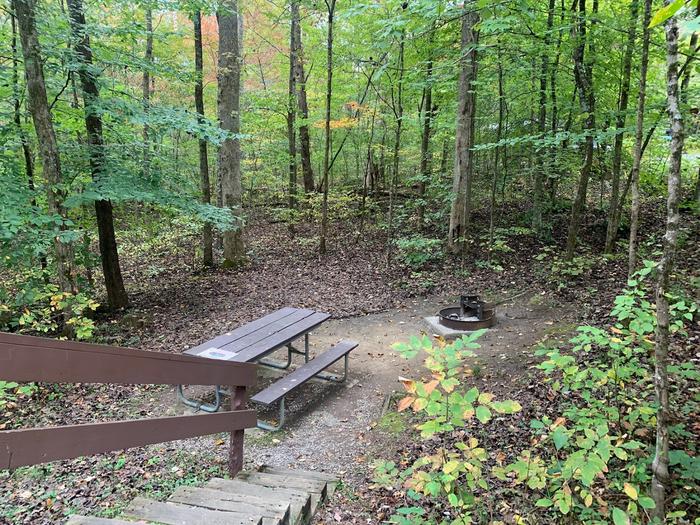 Brown railing with stairs leading to a circle fire ring and picnic table surrounded with green trees.C-20 has stairs that go to the fire ring and picnic table.