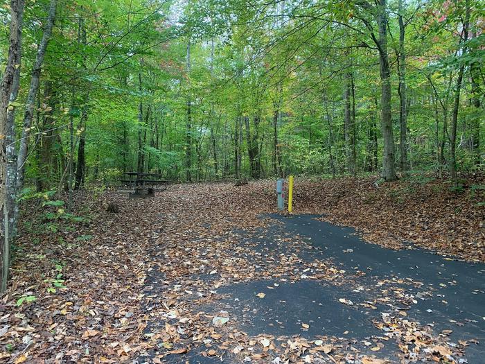 A blacktop surface with brown leaves on the ground. A yellow post and gray box near a circle fire pit and picnic table.C-21 has a fire ring and picnic table.