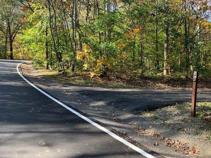 A blacktop surface with green grass on the sides with a small brown post.