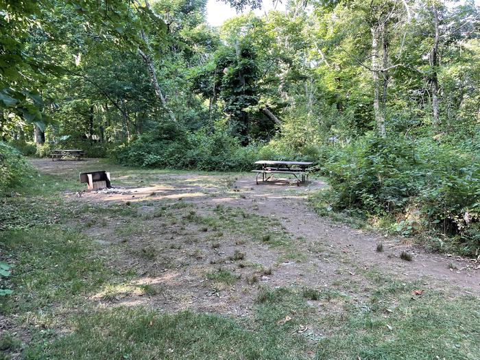 A photo of Site C093 of Loop C Loop at Loft Mountain Campground with Picnic Table, Fire Pit