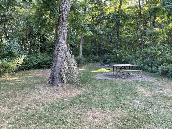 A photo of Site E138 of Loop E Loop at Loft Mountain Campground with Picnic Table, Fire Pit