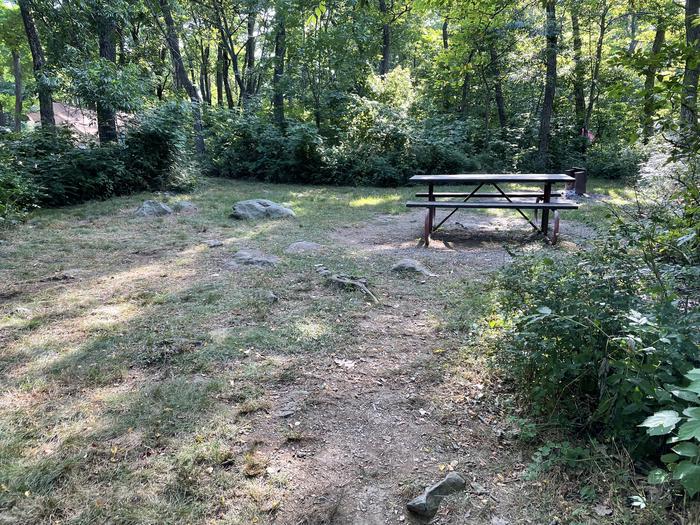 A photo of Site E142 of Loop E Loop at Loft Mountain Campground with Picnic Table, Fire Pit