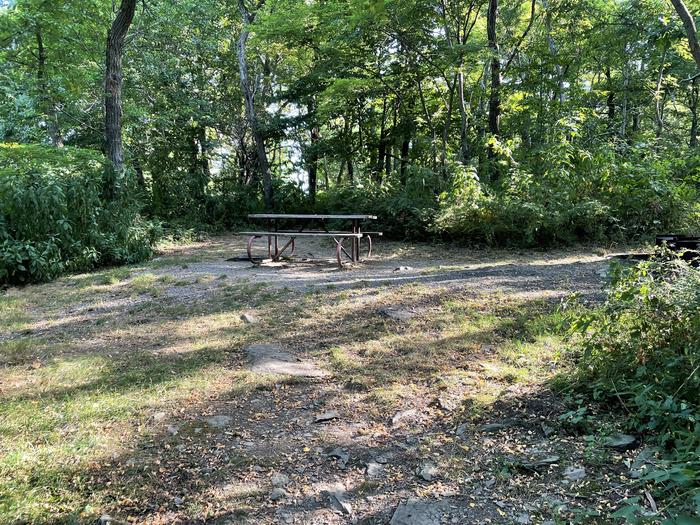 A photo of Site E140 of Loop E Loop at Loft Mountain Campground with Picnic Table, Fire Pit