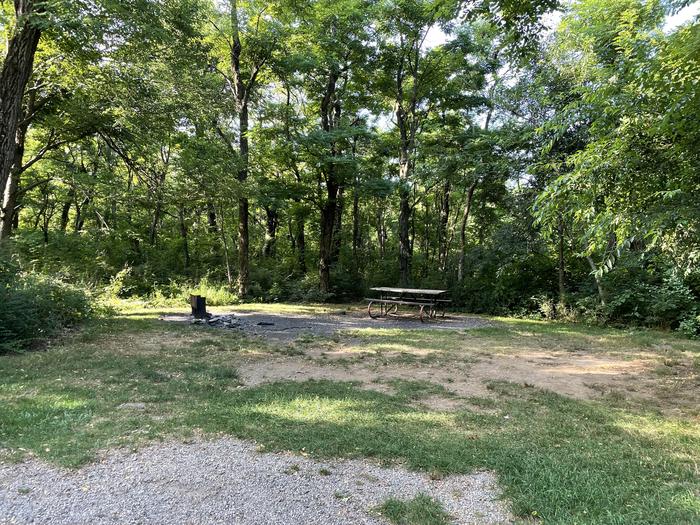 A photo of Site E139 of Loop E Loop at Loft Mountain Campground with Picnic Table, Fire Pit