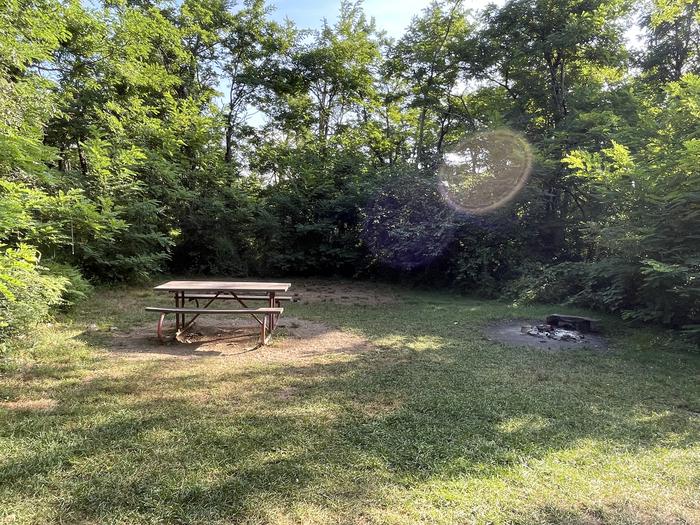 A photo of Site E156 of Loop E Loop at Loft Mountain Campground with Picnic Table, Fire Pit