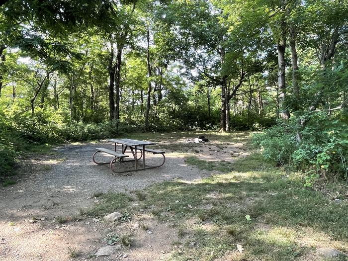 A photo of Site E155 of Loop E Loop at Loft Mountain Campground with Picnic Table, Fire Pit