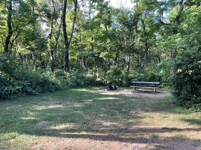 A photo of Site E143 of Loop E Loop at Loft Mountain Campground with Picnic Table, Fire Pit