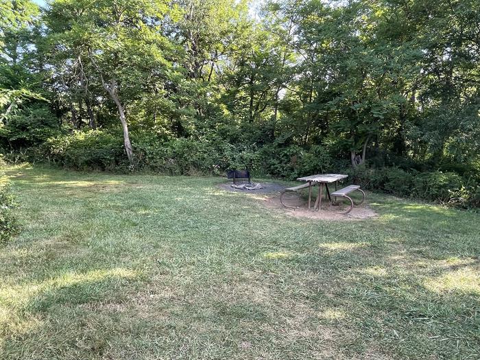 A photo of Site E160 of Loop E Loop at Loft Mountain Campground with Picnic Table, Fire Pit