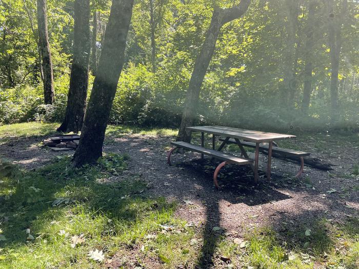 A photo of Site C092 of Loop C Loop at Loft Mountain Campground with Picnic Table, Fire Pit