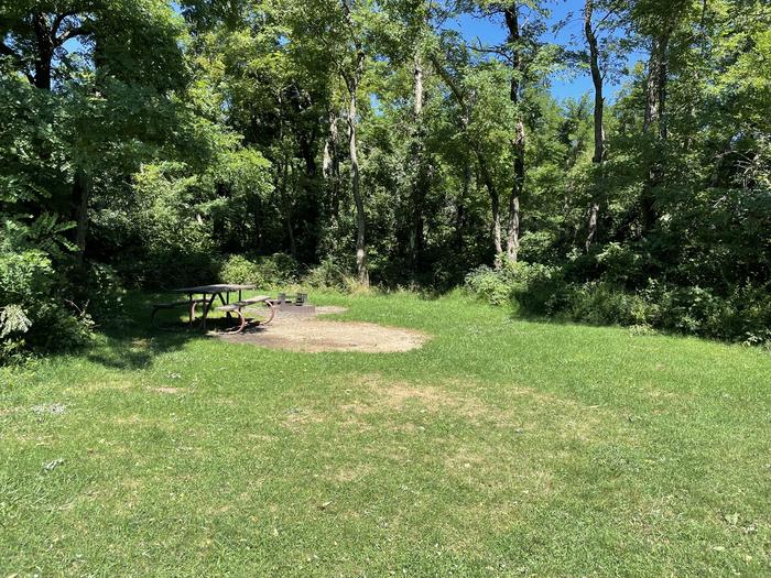 A photo of Site A074 of Loop A Loop at Loft Mountain Campground with Picnic Table, Fire Pit