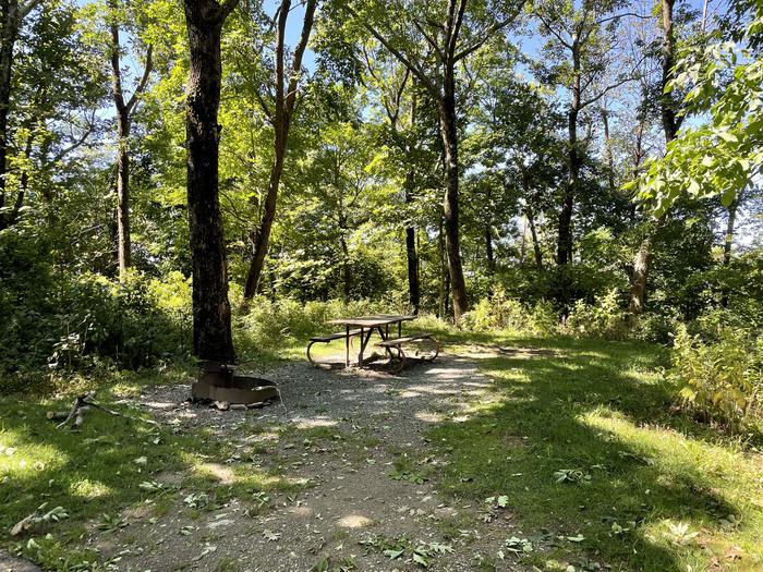 A photo of Site A057 of Loop A Loop at Loft Mountain Campground with Picnic Table, Fire Pit
