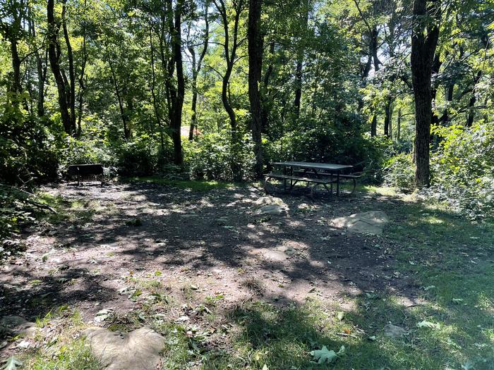 A photo of Site F161 of Loop F Loop at Loft Mountain Campground with Picnic Table, Fire Pit