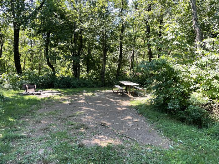 A photo of Site F163 of Loop F Loop at Loft Mountain Campground with Picnic Table, Fire Pit