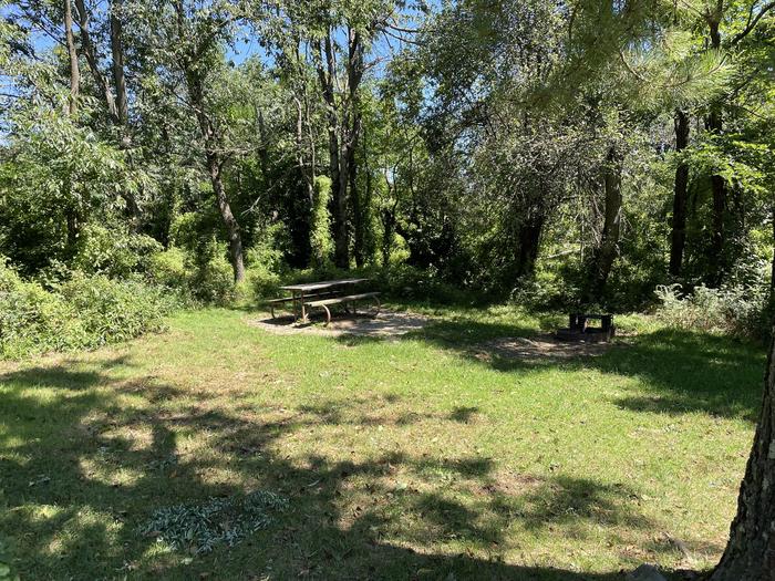 A photo of Site F175 of Loop F Loop at Loft Mountain Campground with Picnic Table, Fire Pit