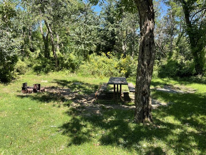 A photo of Site F177 of Loop F Loop at Loft Mountain Campground with Picnic Table, Fire Pit
