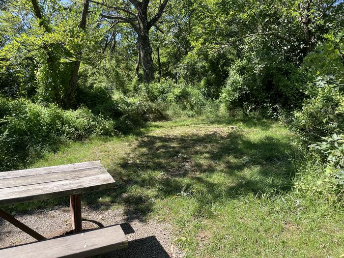 A photo of Site F178 of Loop F Loop at Loft Mountain Campground with Picnic Table
