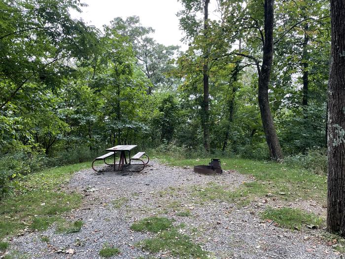A photo of Site A058 of Loop A Loop at Loft Mountain Campground with Picnic Table, Fire Pit