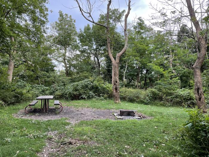 A photo of Site A066 of Loop A Loop at Loft Mountain Campground with Picnic Table, Fire Pit