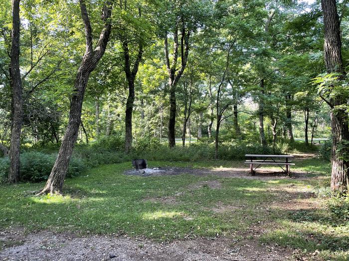 A photo of Site B088 of Loop B Loop at Loft Mountain Campground with Picnic Table, Fire Pit