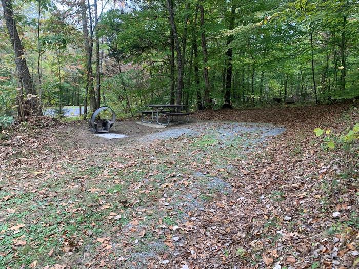 A gravel area with brown leaves scattered around with a circle fire ring and picnic table.D-8 tent space.