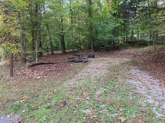 Gravel area with a circle fire ring and picnic table.D-12 tent space.