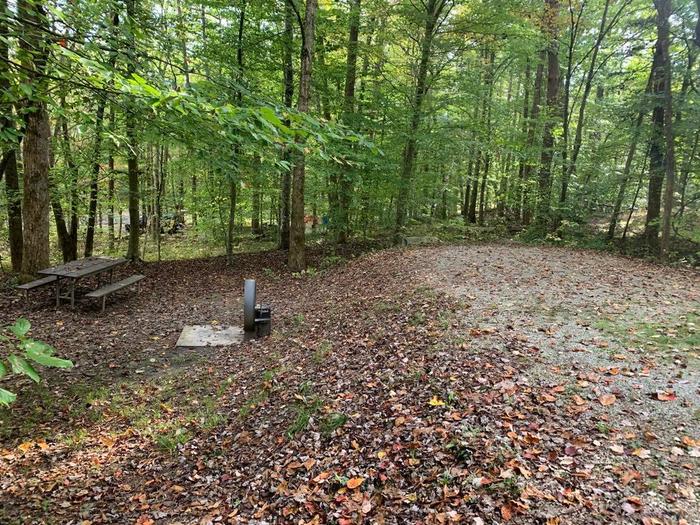 Gravel area with brown leaves on the ground near a circle fire ring and picnic table.D-15 tent space.