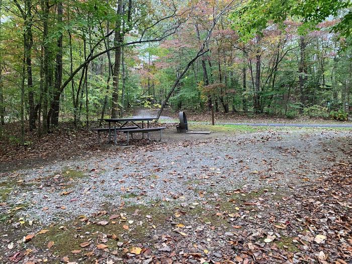 Gravel surface with a circle fire ring and picnic table.D-19 tent space.