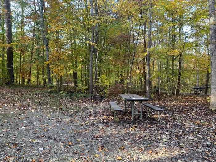 Gravel area with a circle fire ring and picnic table.D-21 tent space.