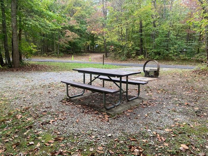 Gravel area with a circle fire ring and picnic table.D-22 tent space.