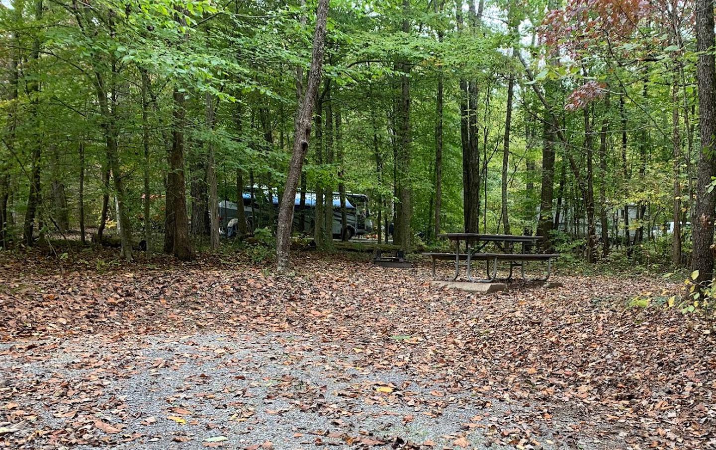 Gravel area with brown leaves on the ground with a circle fire ring and picnic table.D-23 tent space.