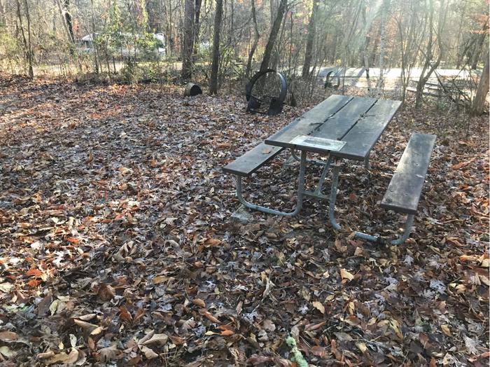 The ground is covered with brown leaves with a circle fire ring and picnic table.A-18 tent space.