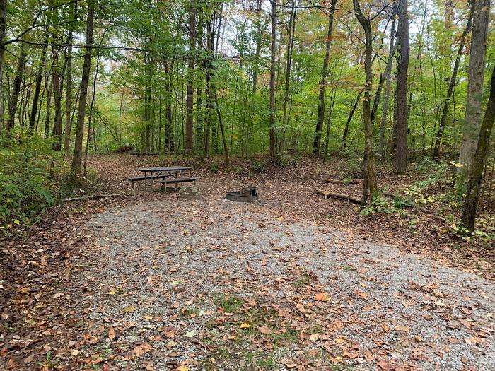 Gravel area with a circle fire ring and picnic table.D-24 tent space.