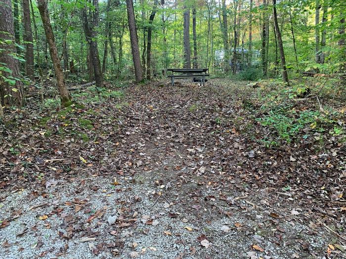 Gravel area with brown leaves on the ground near a circle fire ring and picnic table.D-27 tent space.