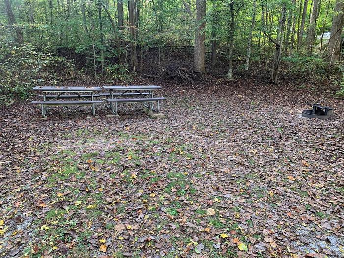 Gravel area with a circle fire ring and two picnic tables.D-28 tent space.