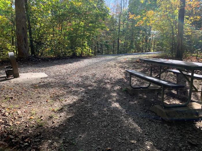 Gravel area with colorful trees surrounding the circle fire pit and picnic table.D-35 tent space.