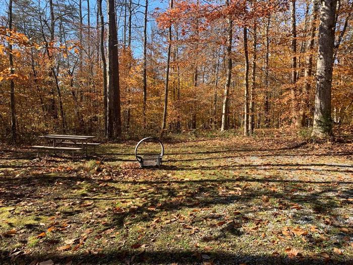 Green grass area with a circle fire ring and picnic table with colorful red leaves on the trees.E-1 tent space.