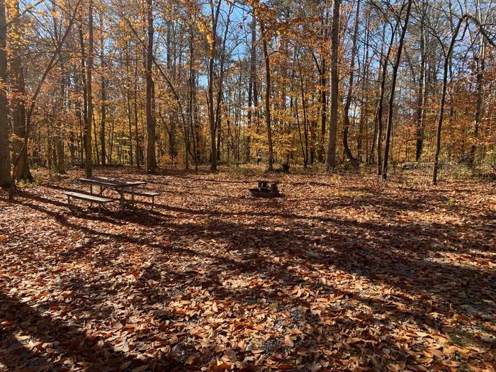 Green grassy area covered in red and brown leaves with a circle fire ring and picnic table.E-2 tent space.