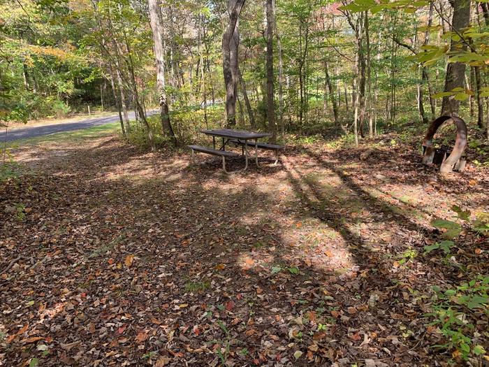 Gravel area covered in brown leaves with a circle fire pit and picnic table.E-11 tent space.