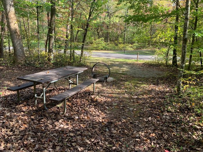 Green grass area with a circle fire pit and picnic table.E-13 tent space.