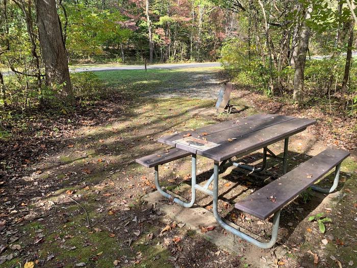 Green grass area with a circle fire pit and picnic table.E-14 tent space.
